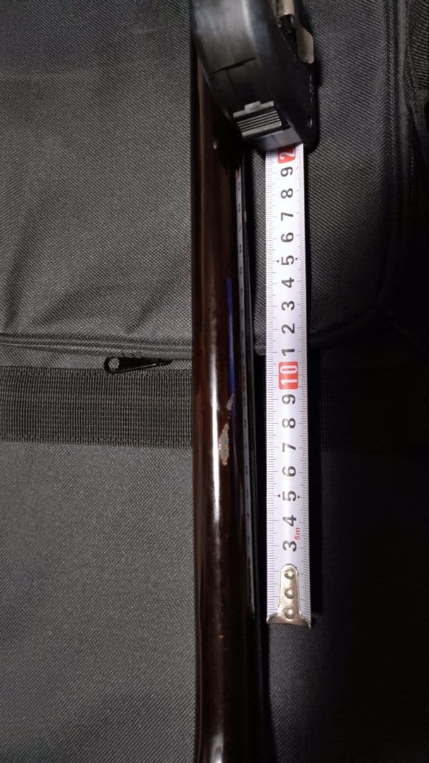 三線 本体 蛇皮 強化張り ソフトケース付き