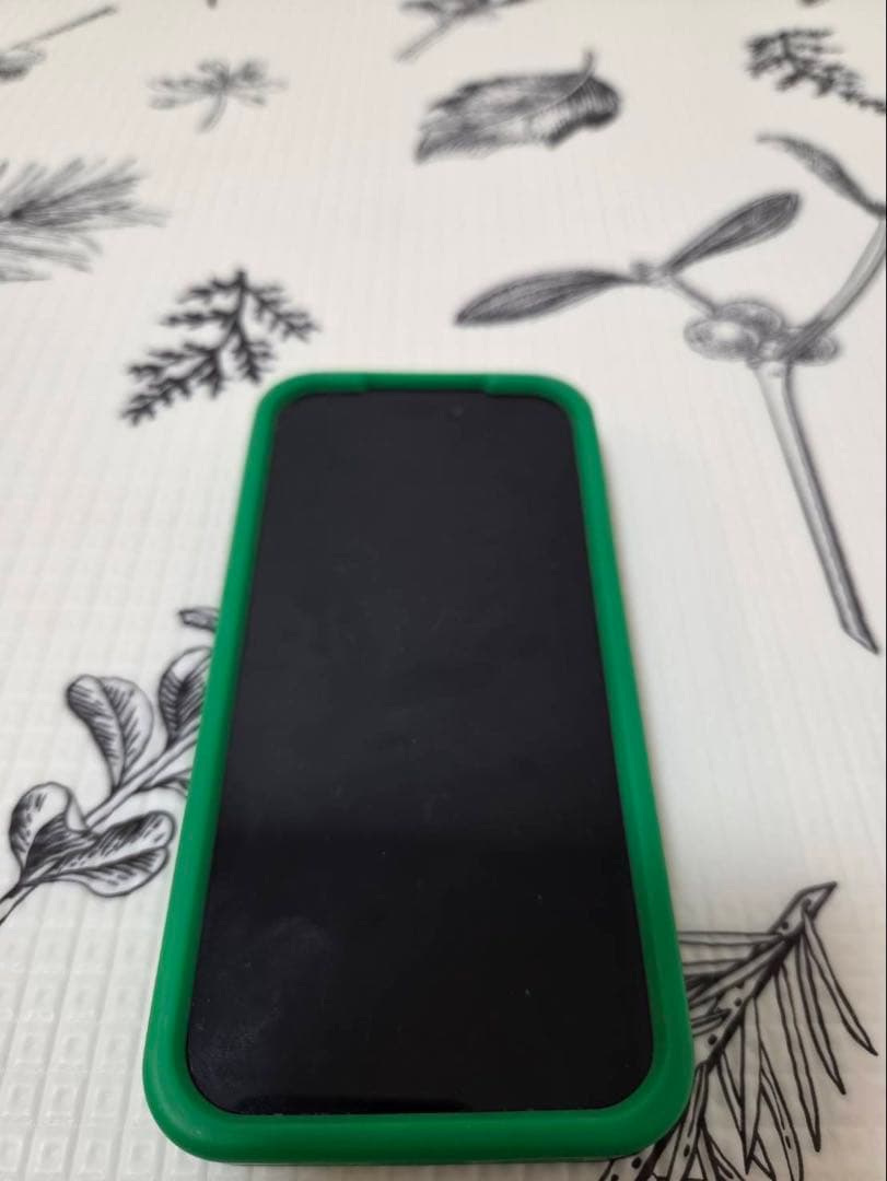 ボッテガヴェネタ iPhone16 pro ケース iPhoneケース