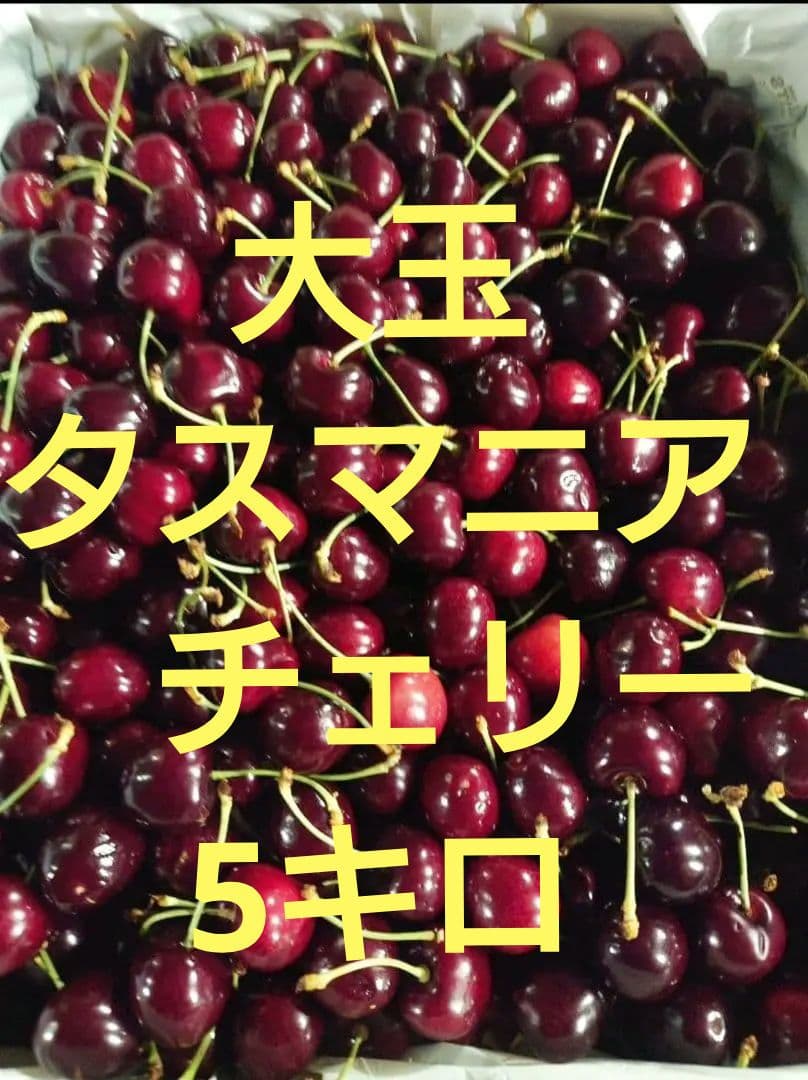 大玉タスマニアチェリー　5キロ