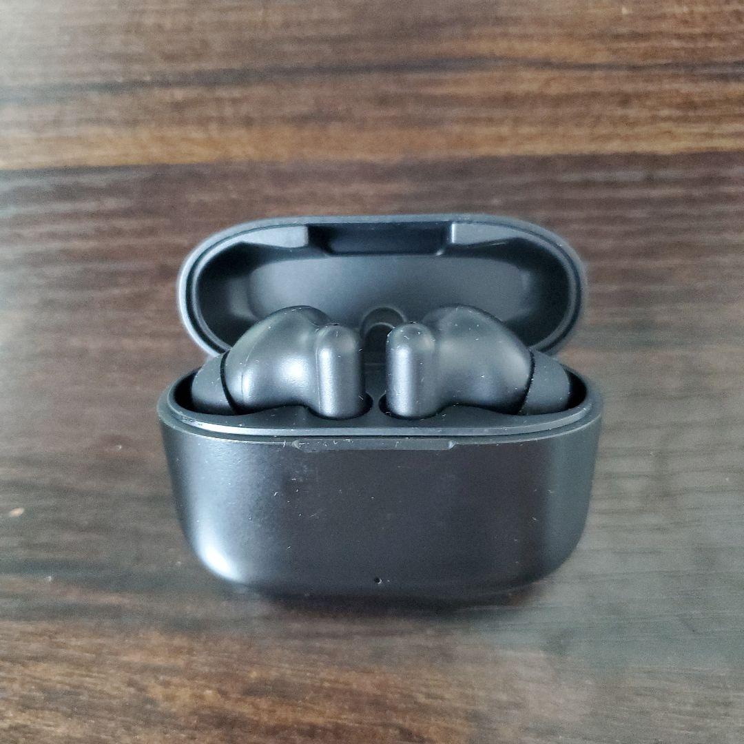 panasonic RZ-B110W ワイヤレスイヤホン 海外モデル