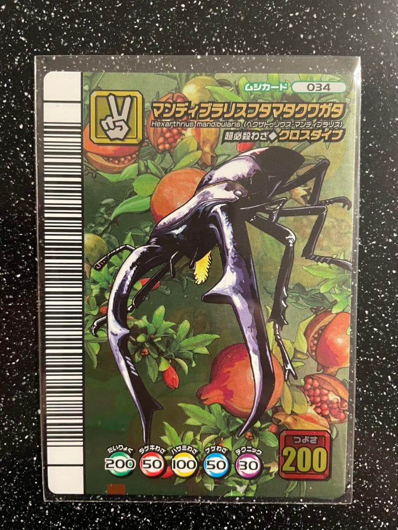 ト*ン様 ムシキング　5周年　マンディブラリスフタマタクワガタ　26