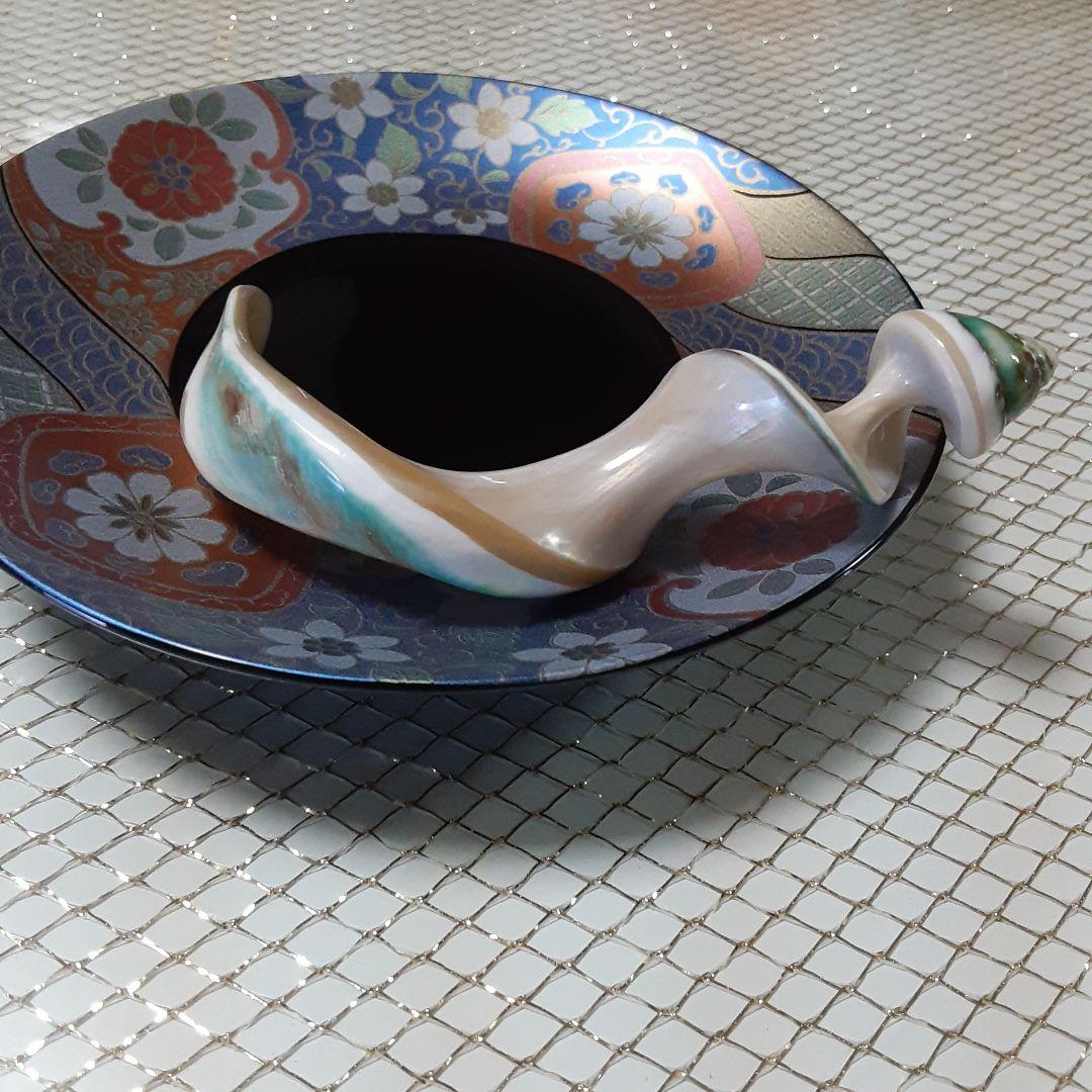 夜光貝　(6点おまとめ/ペロちゃん。❤︎お取り置き中)