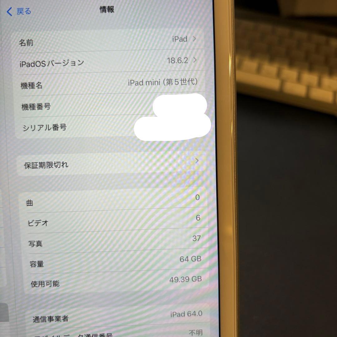 Apple iPad mini （第5世代）64G