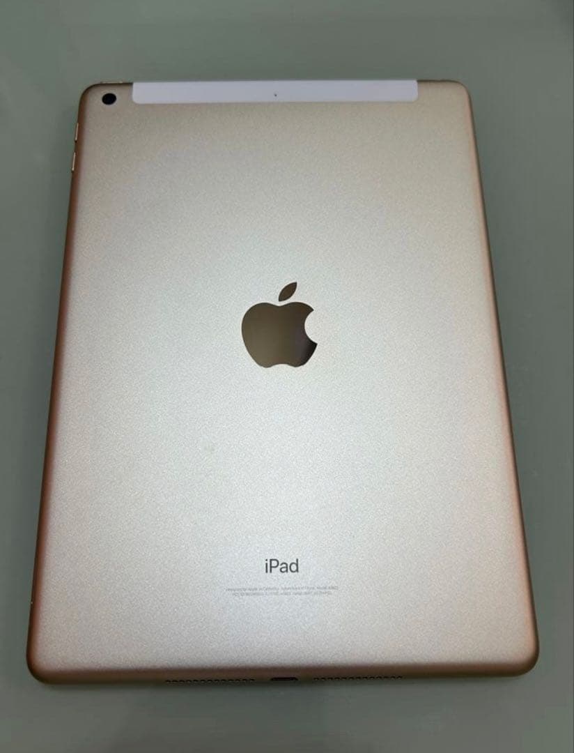 iPad 第5世代 128GB Wi-Fi Cellular（SIMフリー）