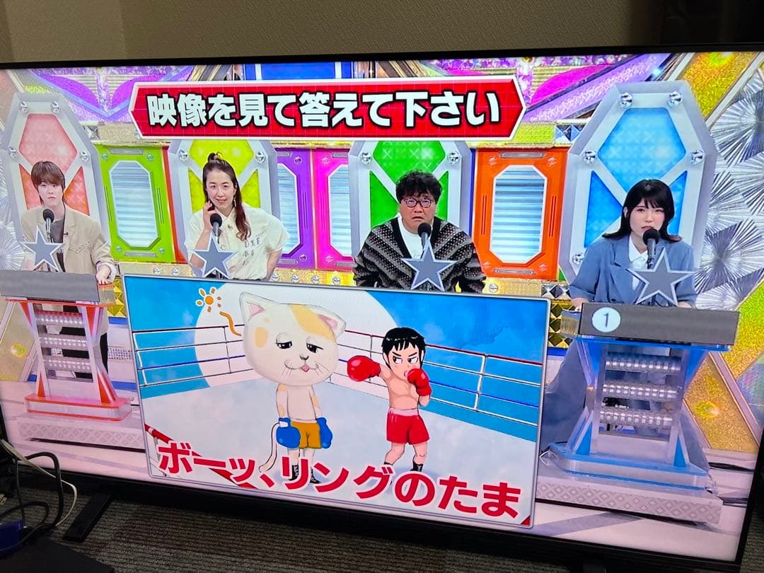 TOSHIBA REGZA 50インチ　50C340X