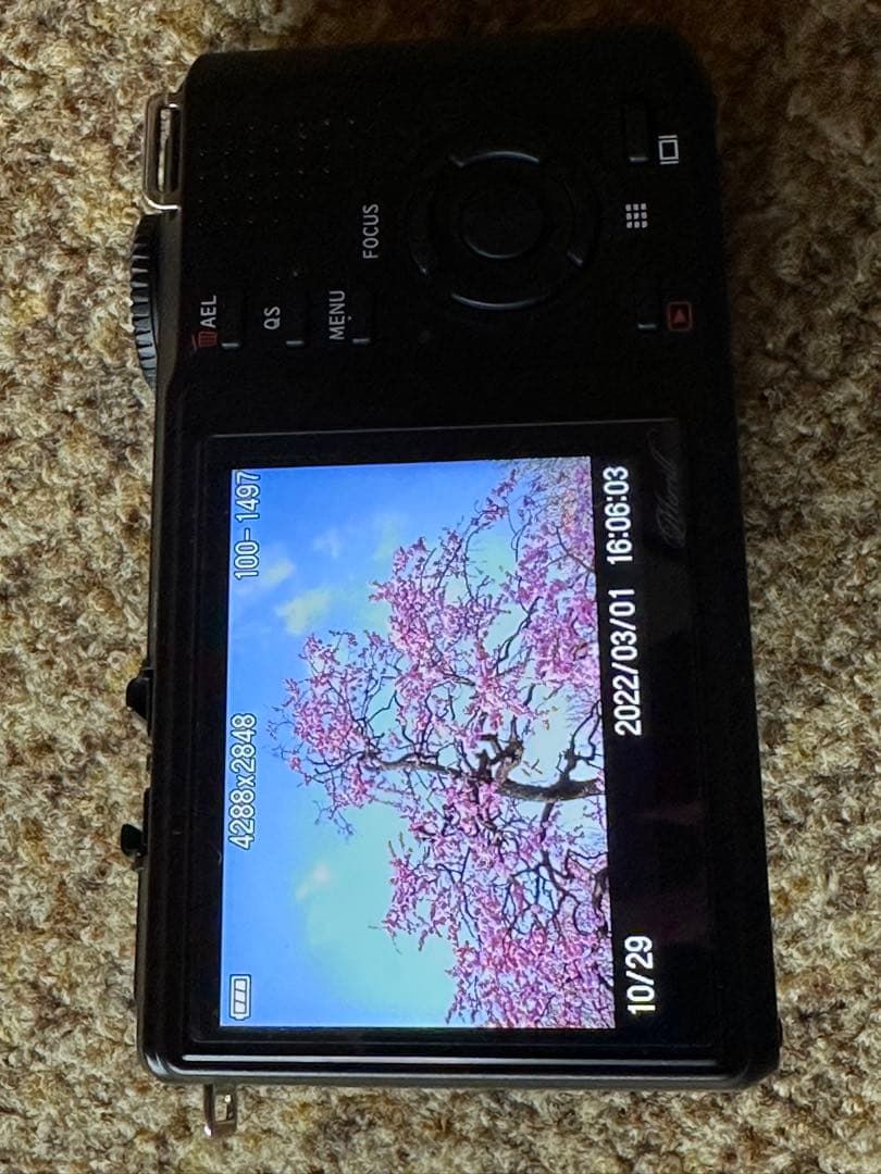 SIGMA DP2 Merrill バッテリー+充電器