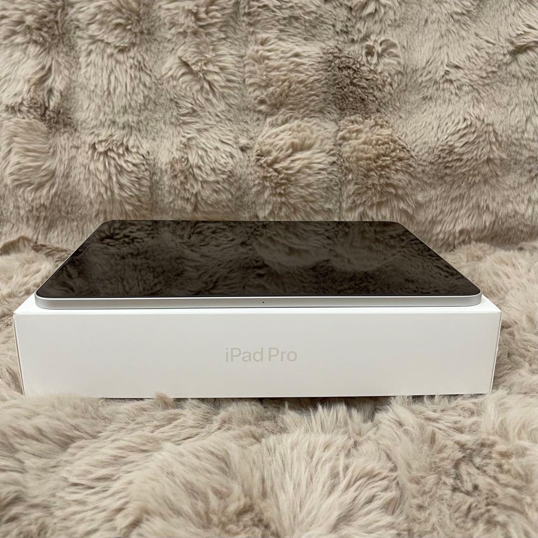 iPad pro 11インチ (第4世代)256GB