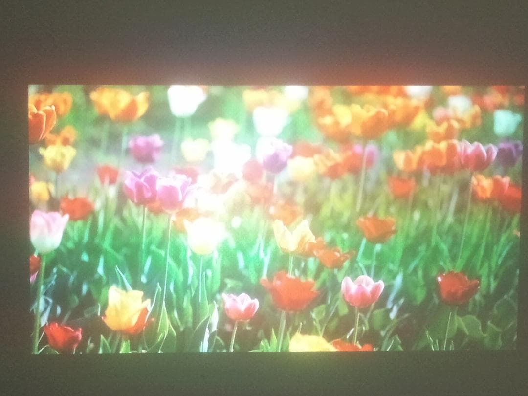 BenQ HT2050 DLPプロジェクター リモコン付き ランプ53時間★