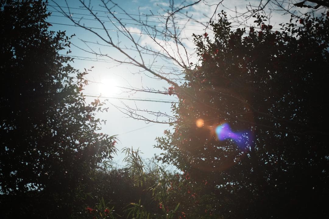 【この値段でライカ級】富岡光学製 XR RIKENON 50mm F2 040