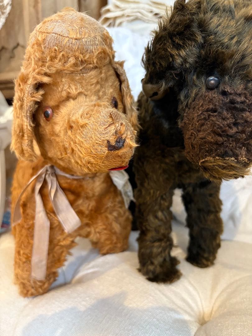 フランスアンティーク 犬 アンティークテディベア アンティークベア