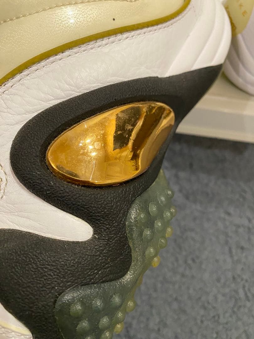 Nike Zoom uptempo5 zoomfright5 バッシュ　田臥勇太