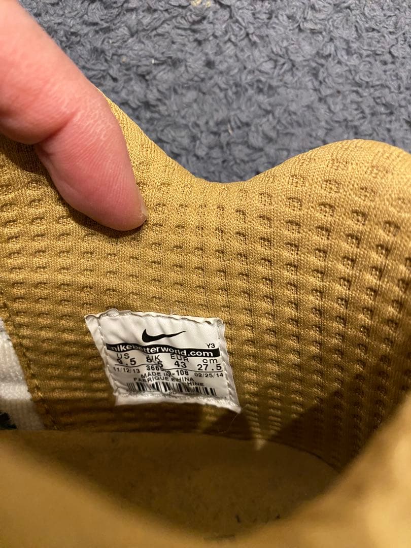 Nike Zoom uptempo5 zoomfright5 バッシュ　田臥勇太