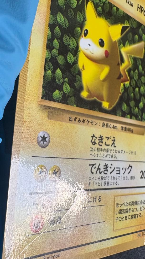 旧裏 ピカチュウ プロモ コロコロ 光沢あり ken sugimori 誤表記
