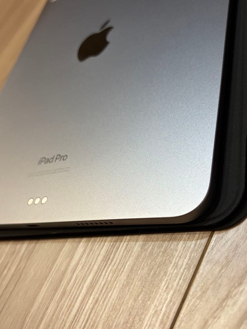 iPadpro 11インチ 第4世代【256GB】ApplePencil.ケース
