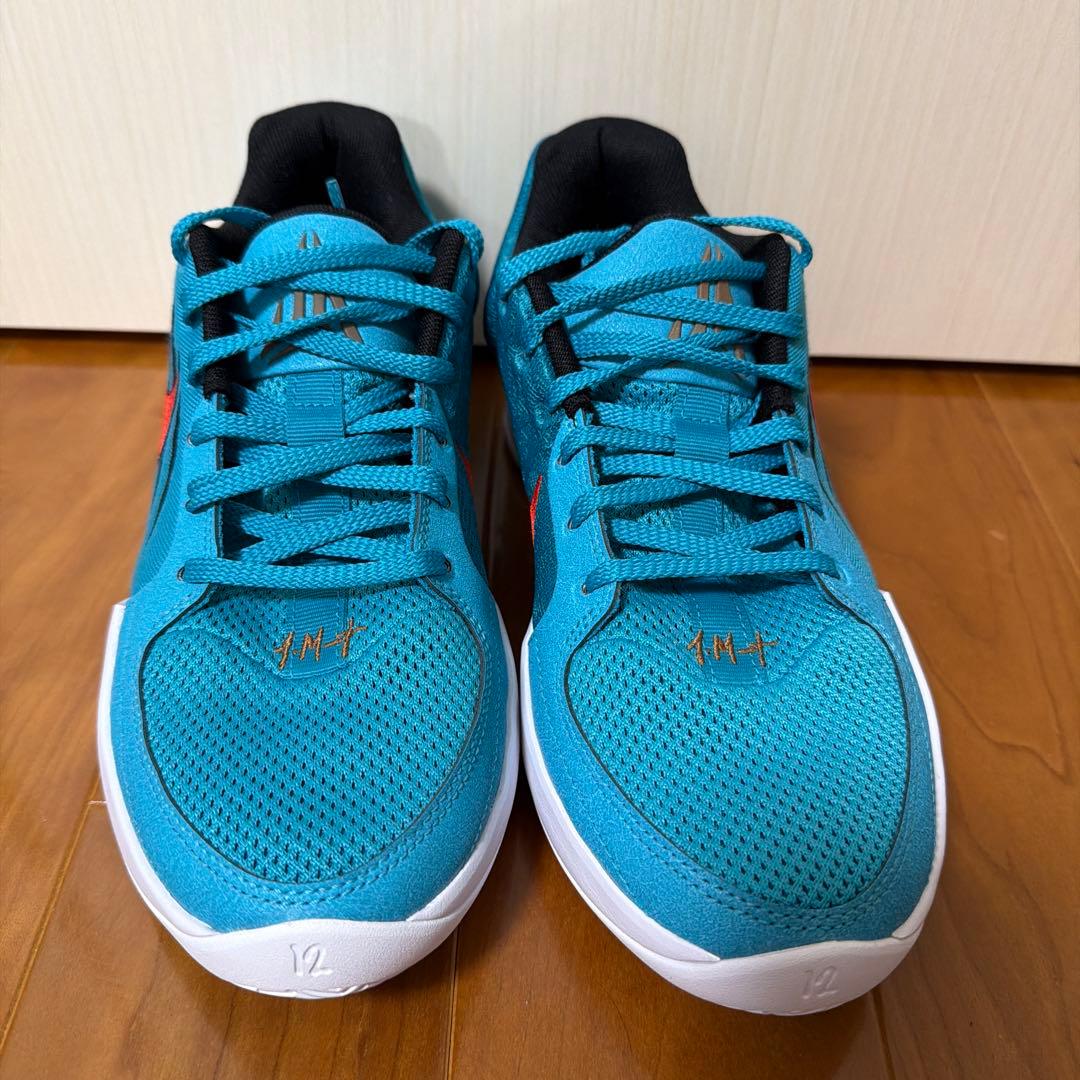 シューズ(男性用) NIKE JA2