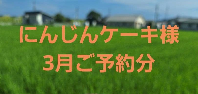 にんじんケーキ様　予約品