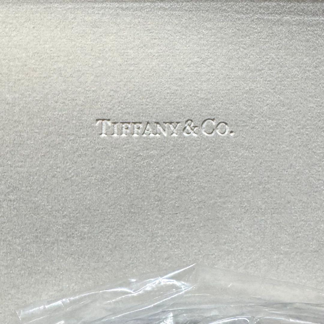 【TIFFANY & CO.】T SUNGLASSES BLACK