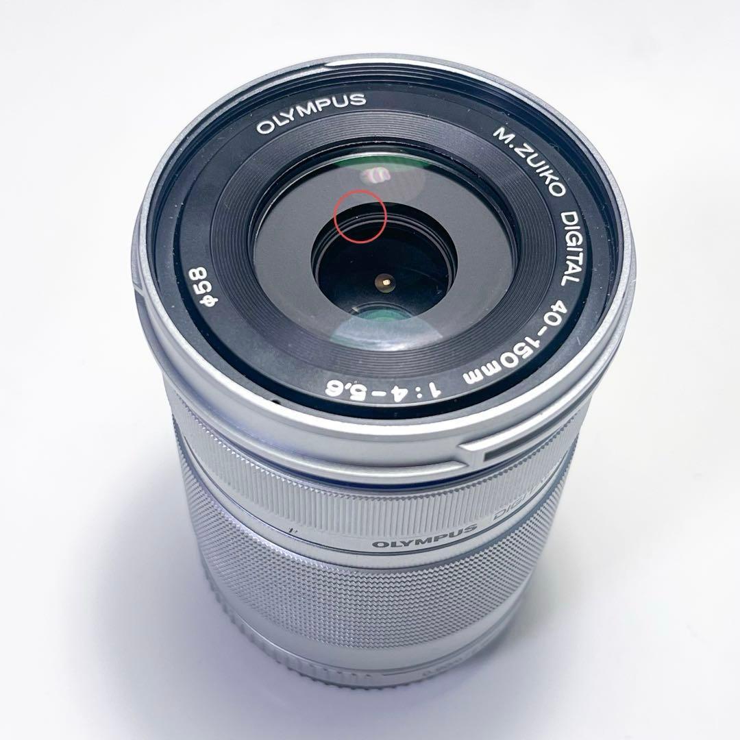 OLYMPUS PEN E-PL10 EZ ダブルレンズズームキット ブラウン