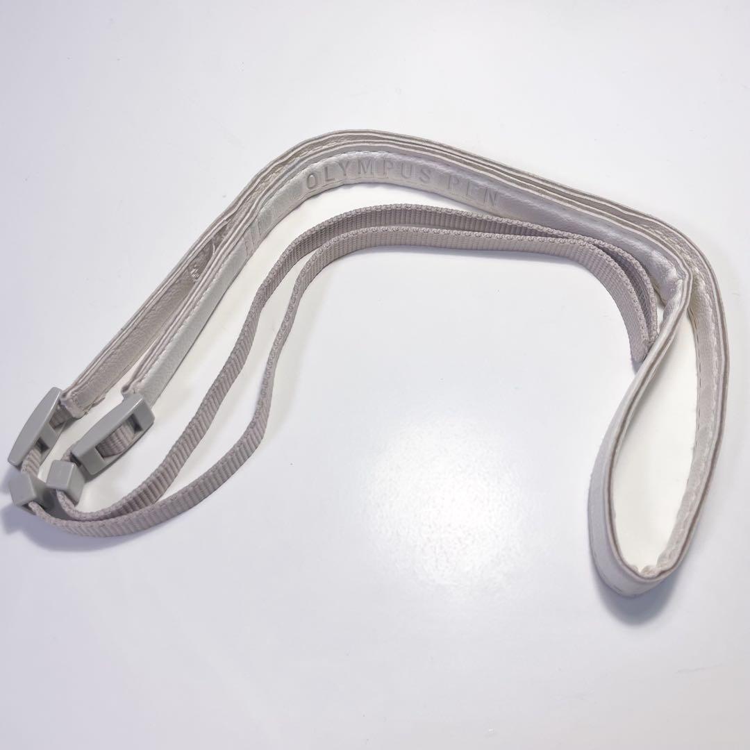 OLYMPUS PEN E-PL10 EZ ダブルレンズズームキット ブラウン