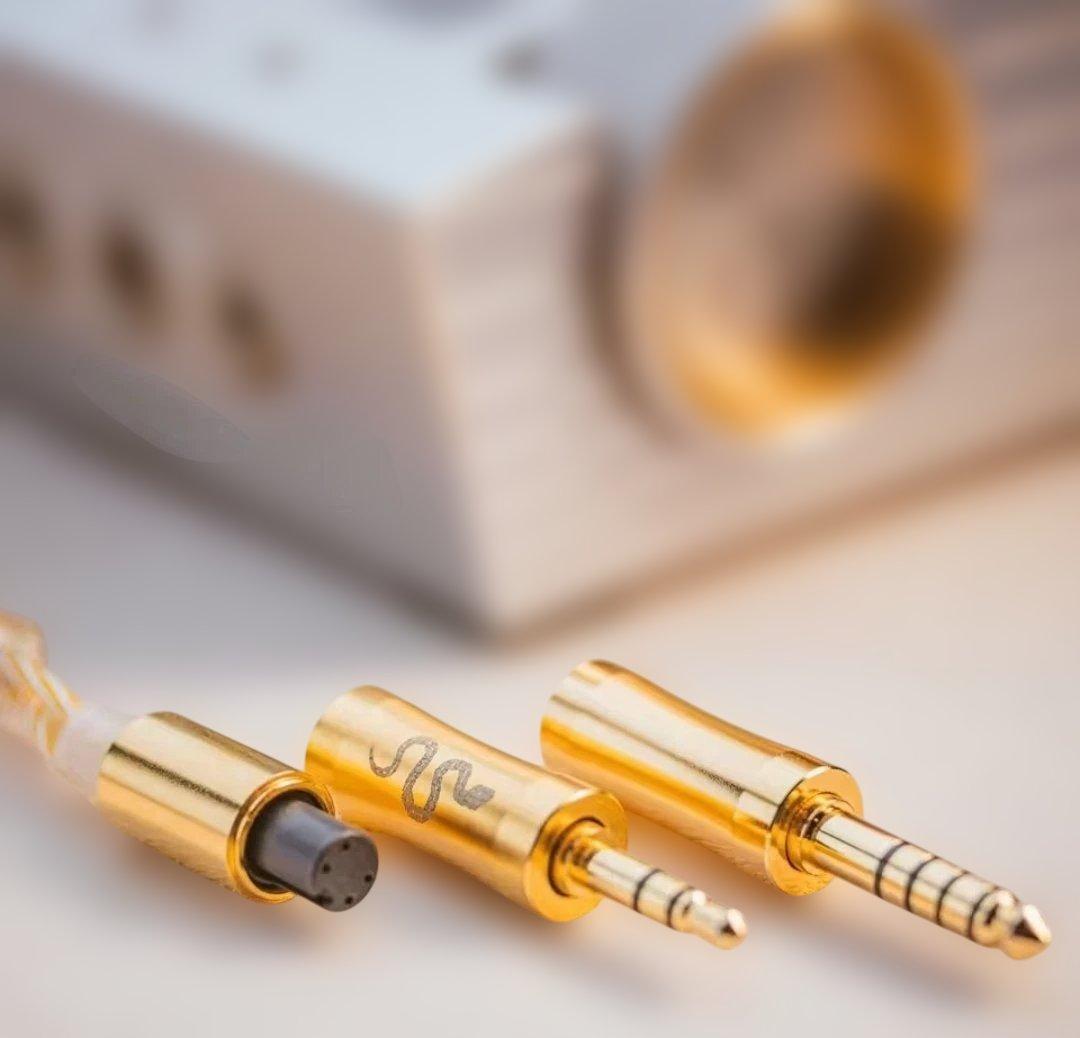 (未開封新品) EarAcoustic Audio VSA-LTD