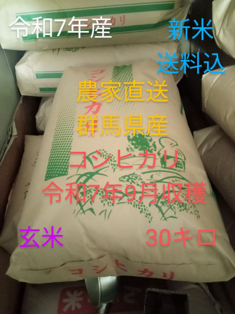 R7年産 新米 群馬県産 コシヒカリ 30キロ 玄米 送料込 30kg