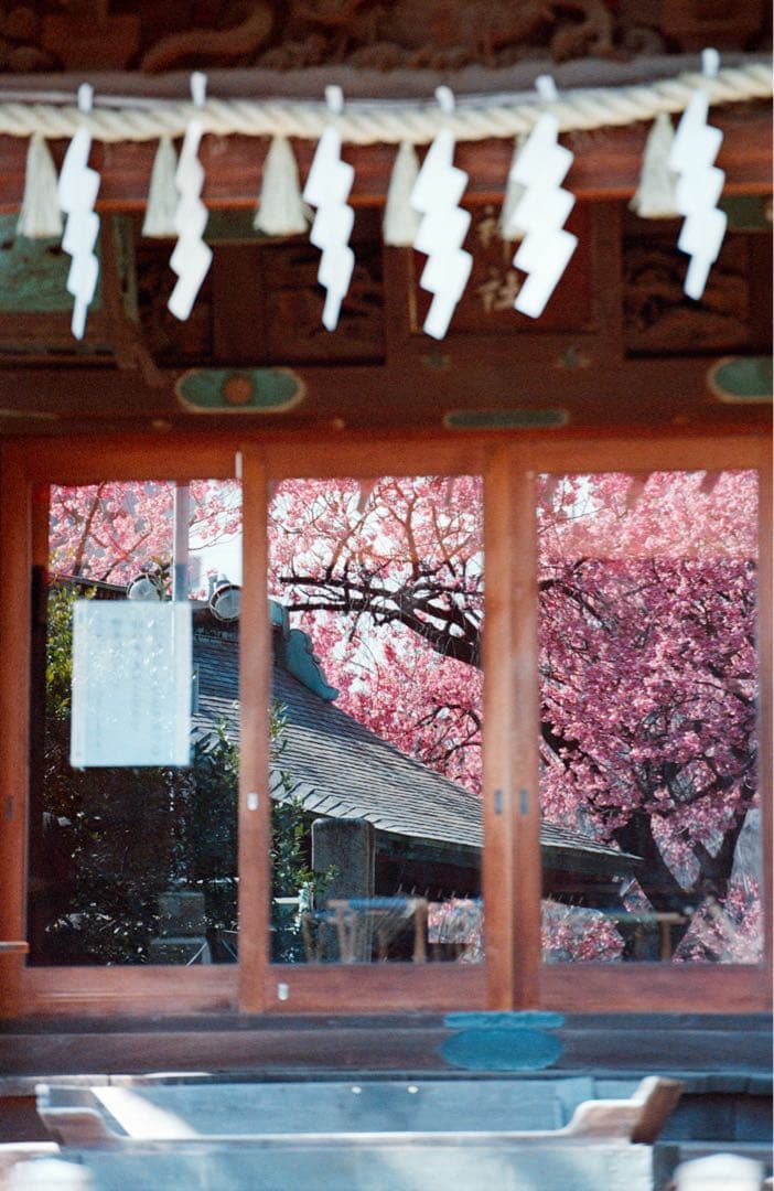 美品Nikon 70-200 f2.8 vr ii