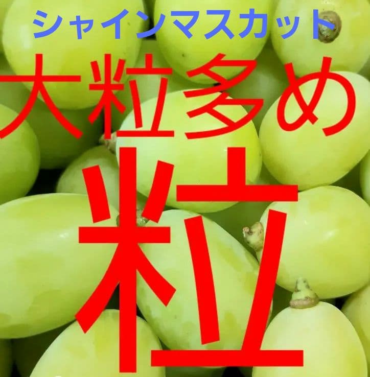 シャインマスカット増量の、大粒多め入り徳用5.5キロ入りの粒バック入りになります