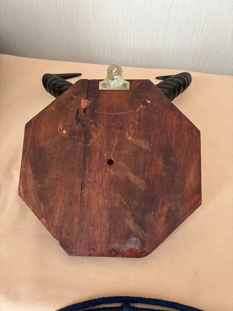 ジ*ん様 インパラの角 ハンティングトロフィー　オブジェ