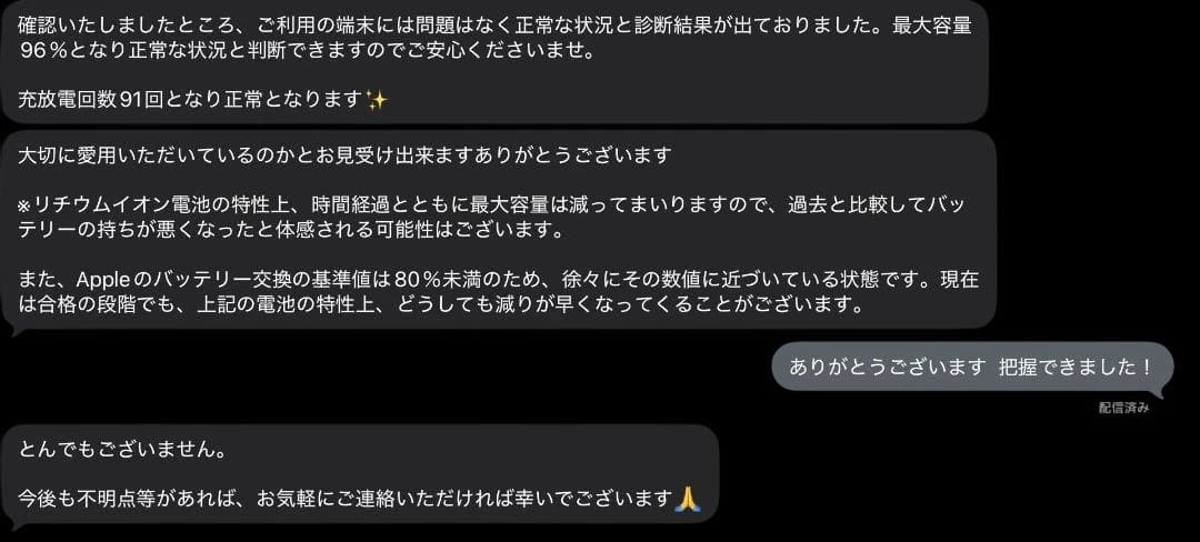 Apple iPad pro 12.9インチ256GB