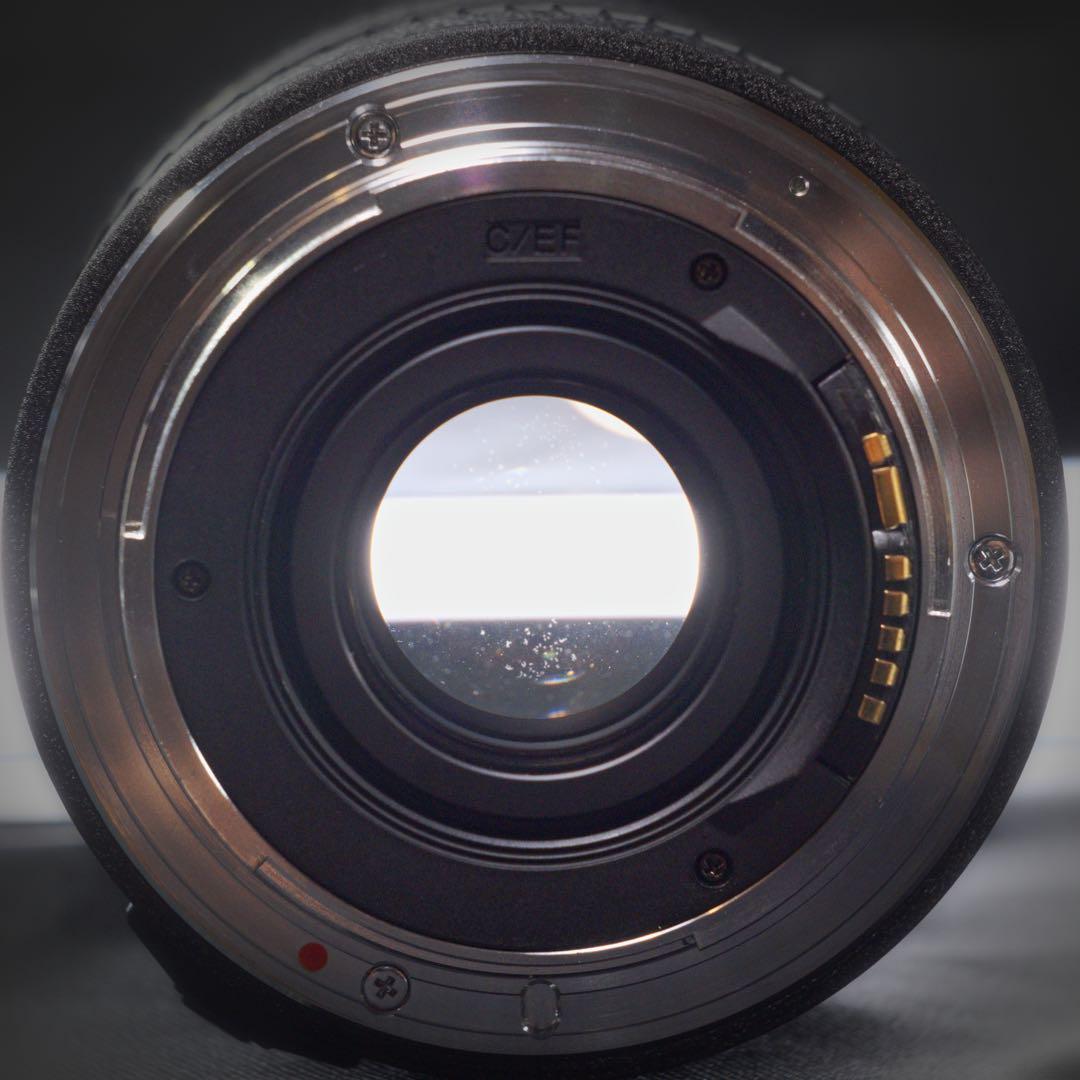 Tokina トキナー AT-X PRO 28-70mm 287 f/2.8