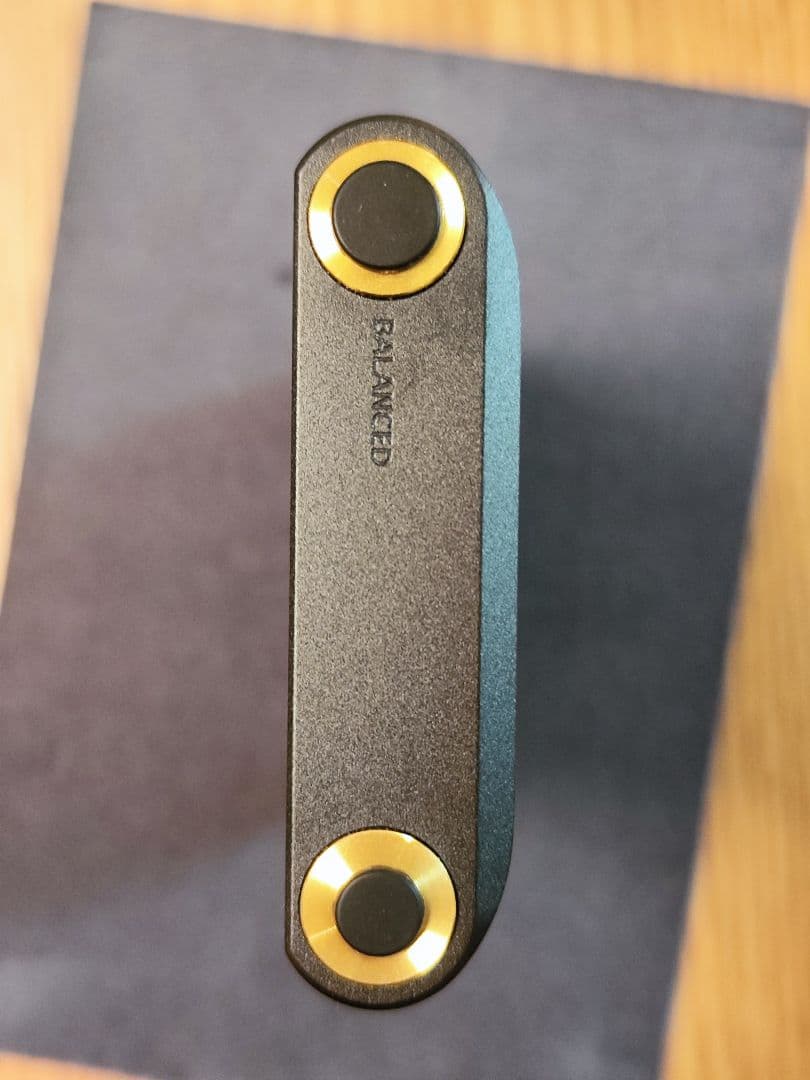 SONY NW-WM1AM2 本体　純正レザーケース