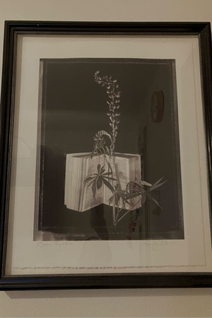 Vaughn Sills 「Beyond Words」アートフォト　写真