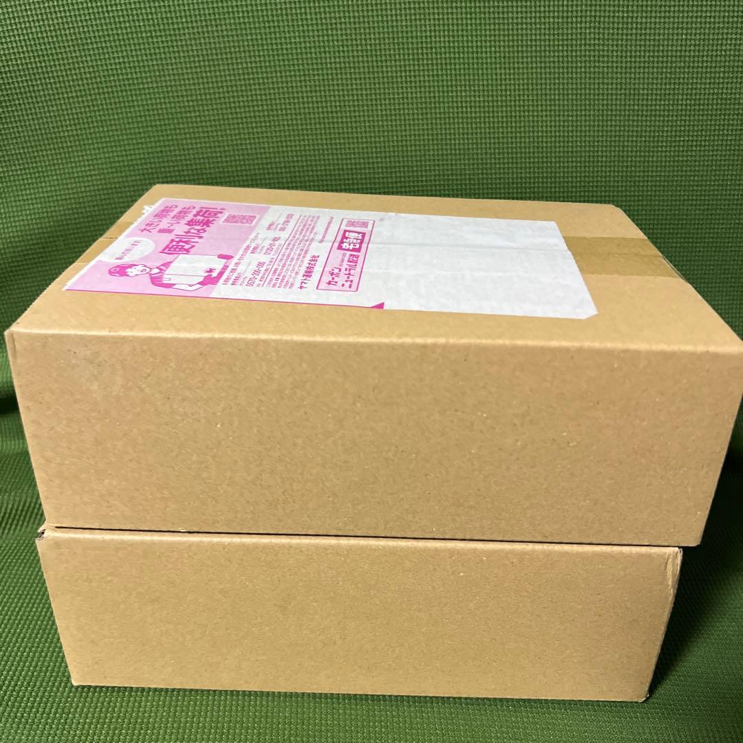 ポケモンカードゲーム MEGA ドリームEX 2BOX ポケセン当選品