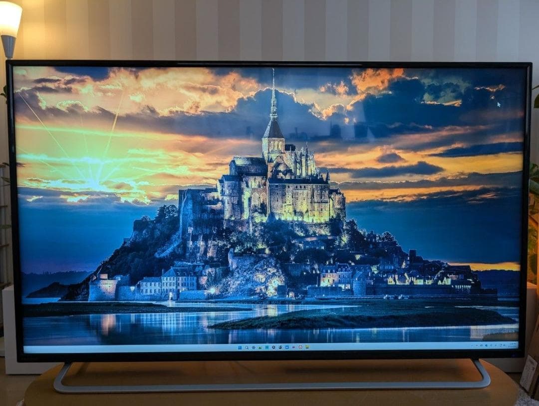 モニター 55インチ 4K EX-LD4K552DB リモコン付き