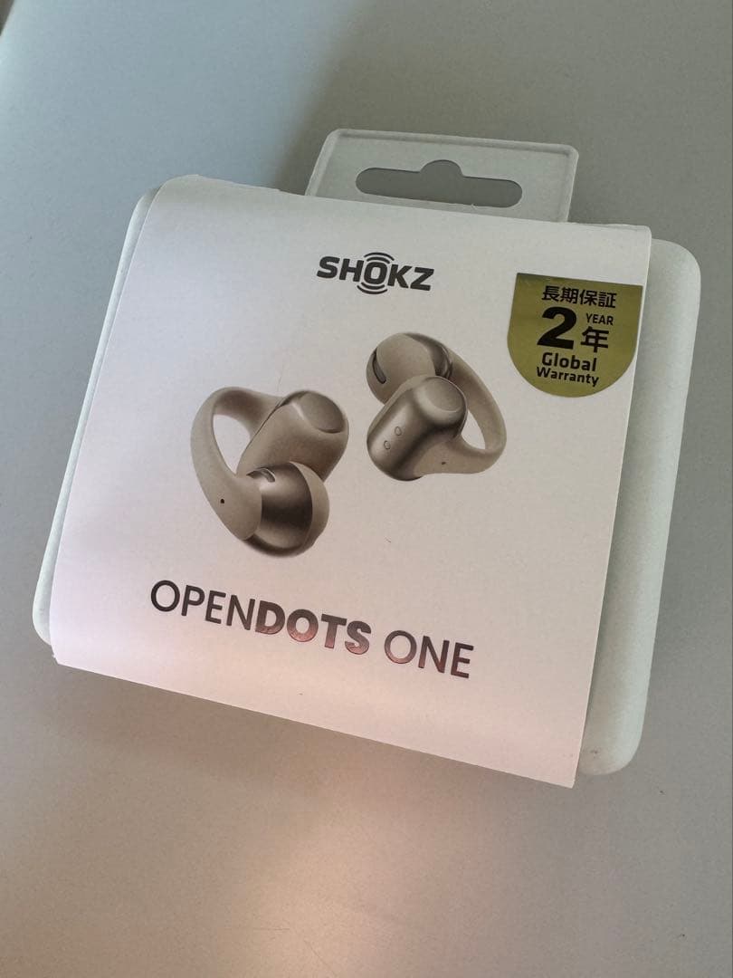 【使用回数2回】SHOKZ OPENDOTS ONE グレー