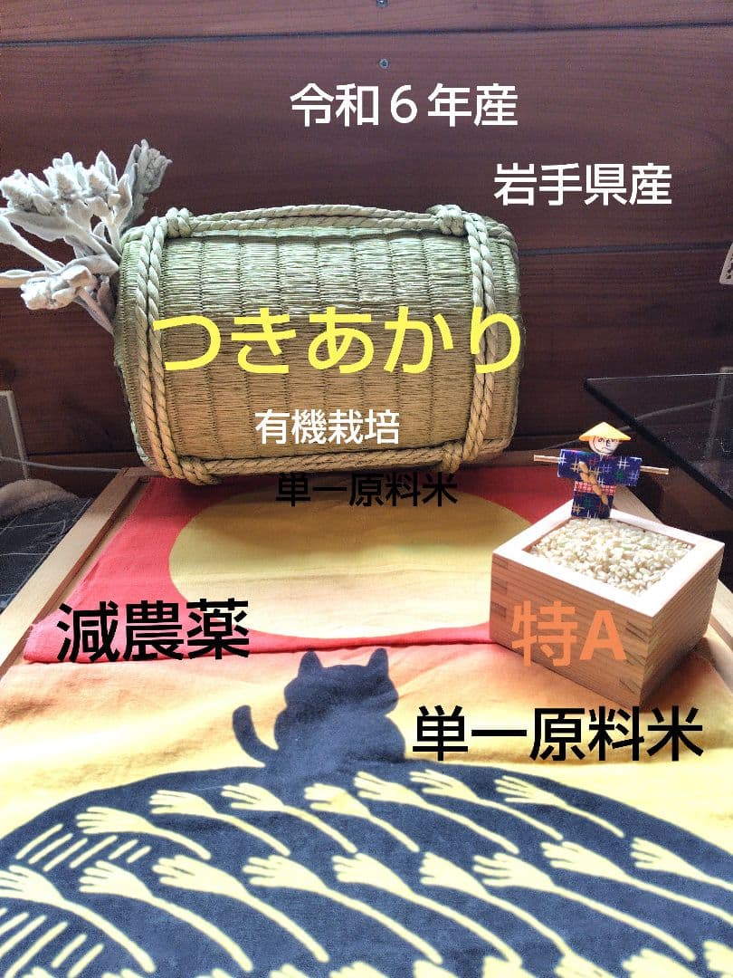つきあかり10kg　岩手県産 令和６年産 減農薬 玄米 希少米