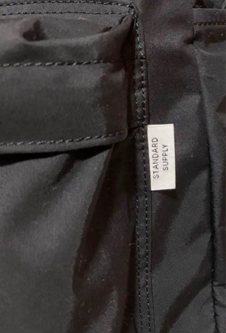 STANDARD SUPPLY/ビームスプラス別注 Large Day Pack