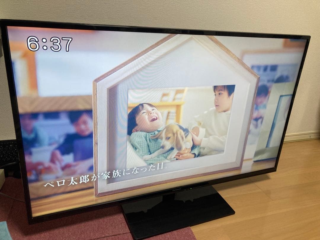 愛知県手渡し限定　パナソニック50型テレビ　ビエラ2013年TH-50A300