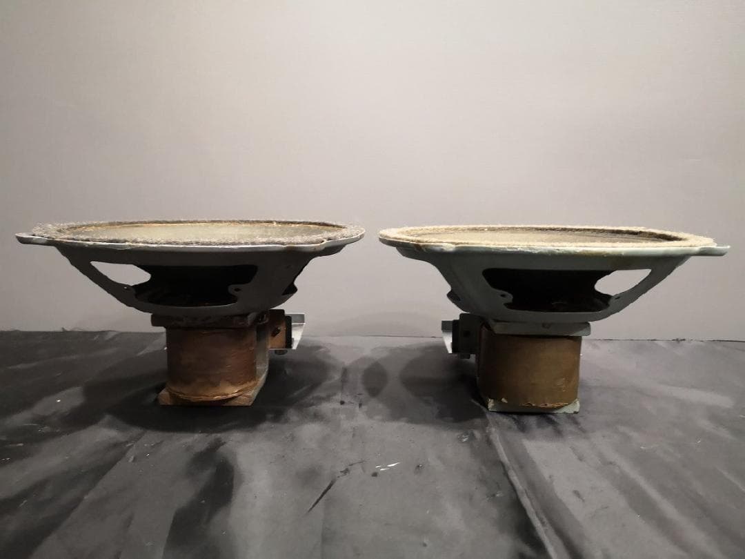 Sachsenwerk 20cm フルレンジ スピーカー m0s8794