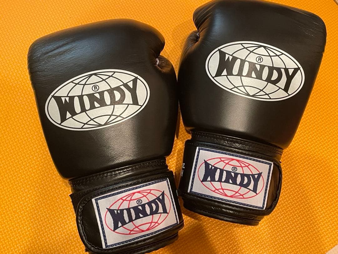 WINDY⭐︎ボクシンググローブ（黒色）