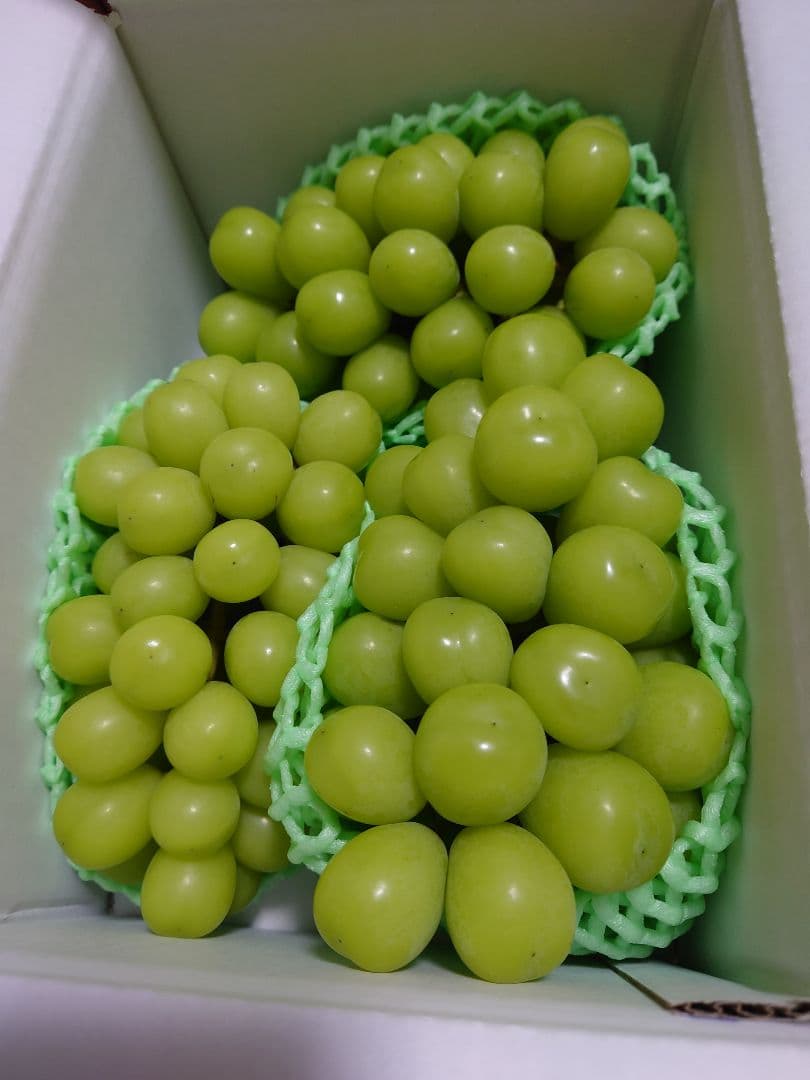 【レディトトロさま専用】【山梨県産】シャインマスカット 箱込1.8kg×2箱