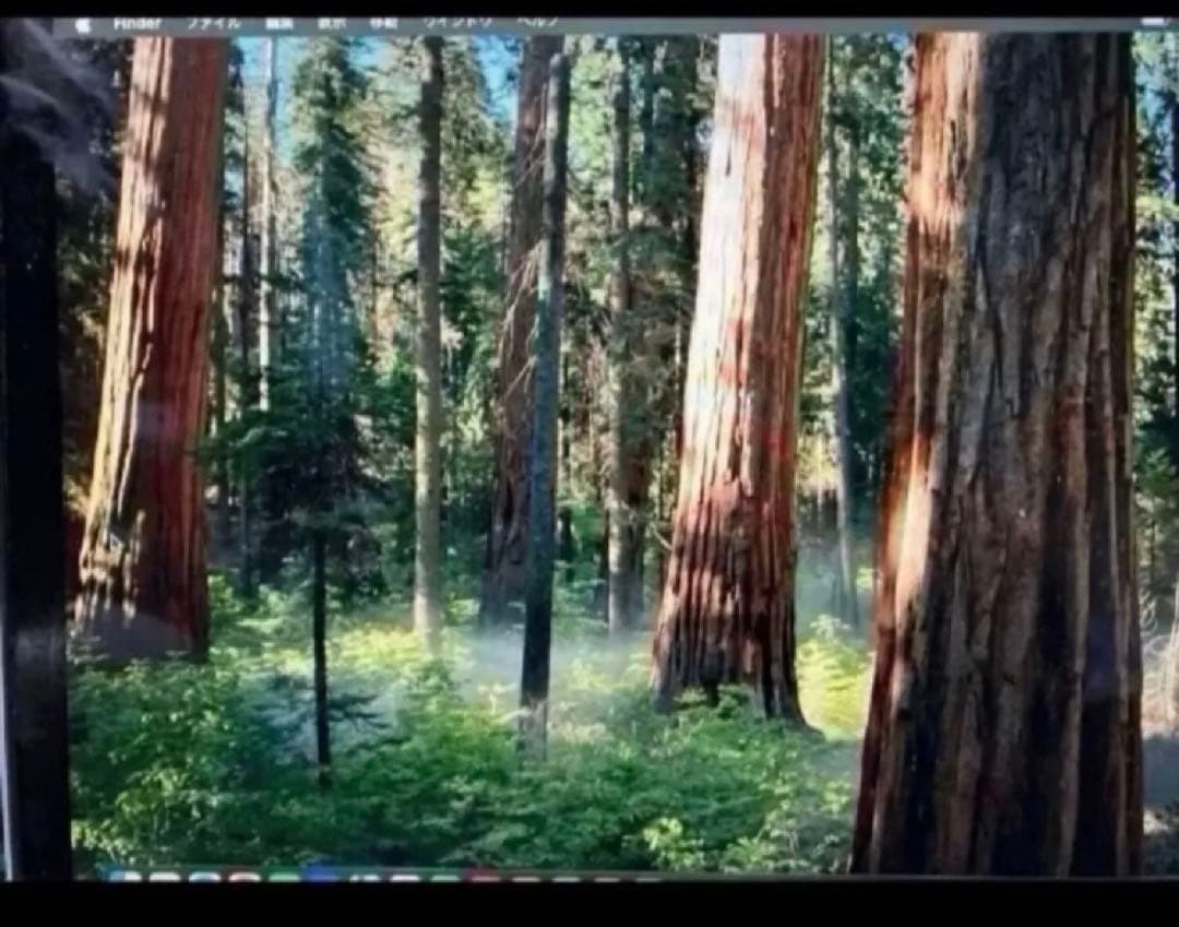 ※仮想、MacBook Pro,2015,13インチ、OS,Sequoia