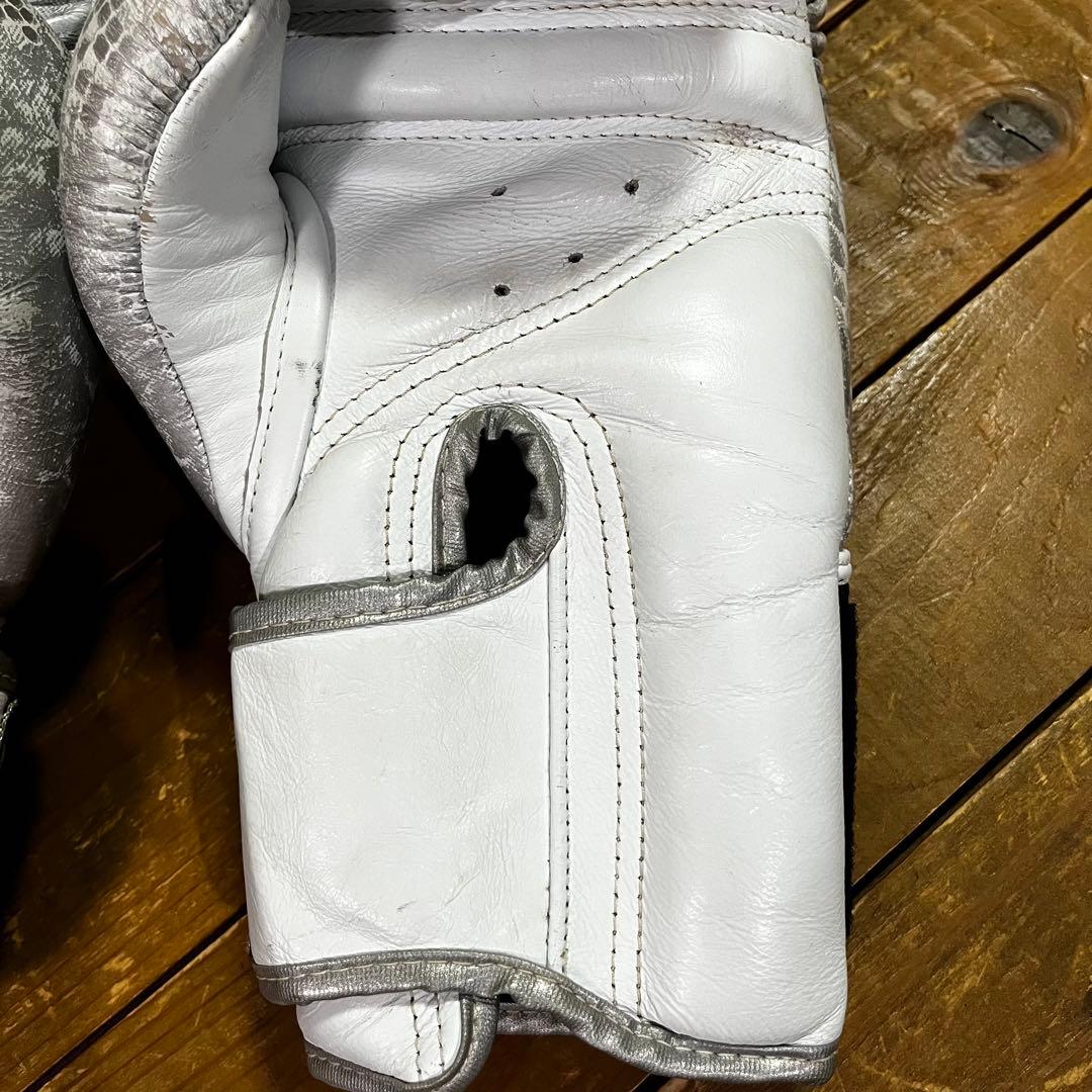 仲 俊光(NFG ) 格闘技トレーニングセット　グローブ　レガース