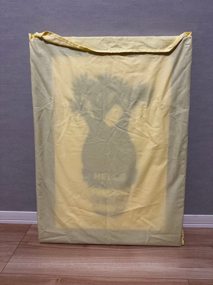 GIRUVI 「Grow on the Wall」Gracilius