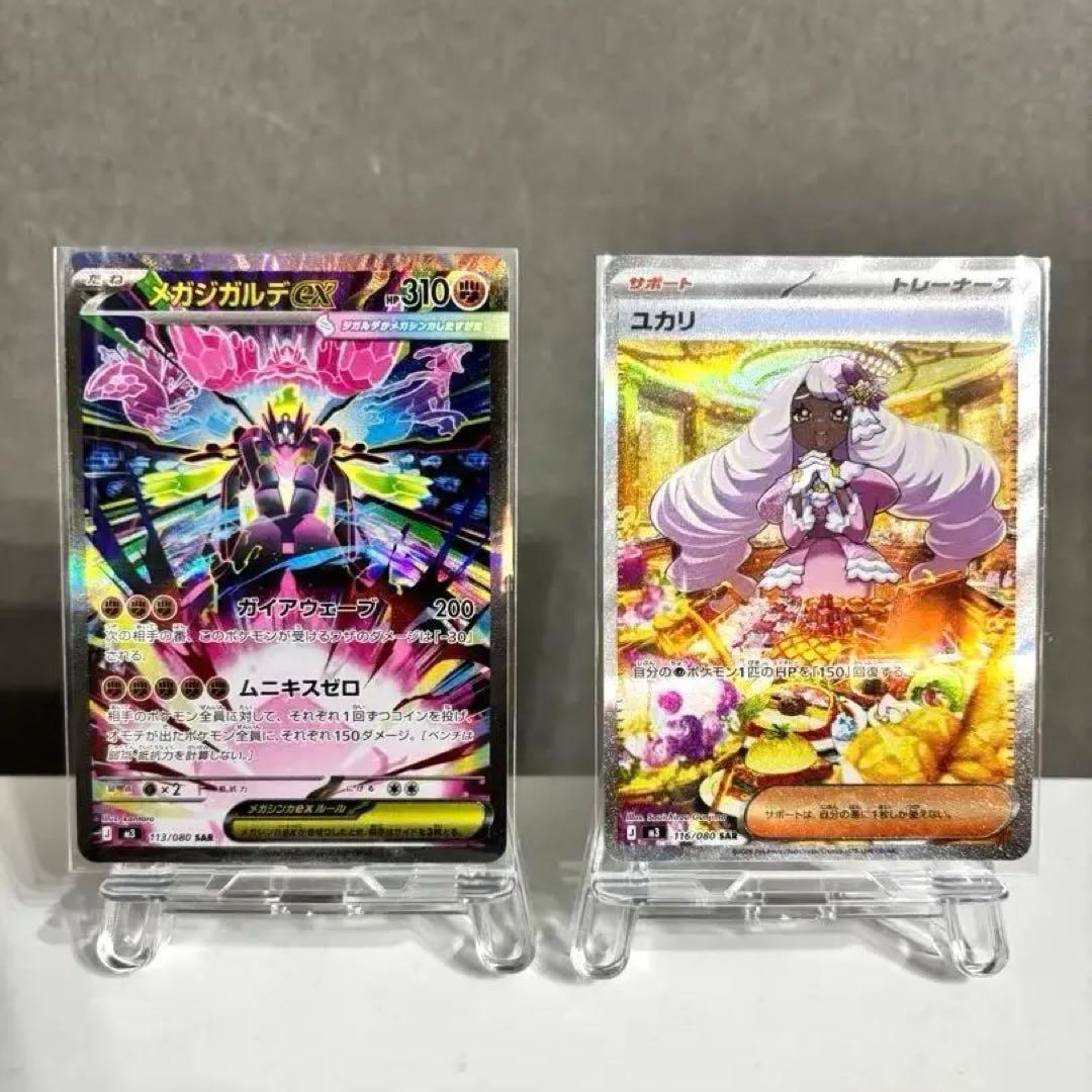 メガジガルデsar ユカリsarセット