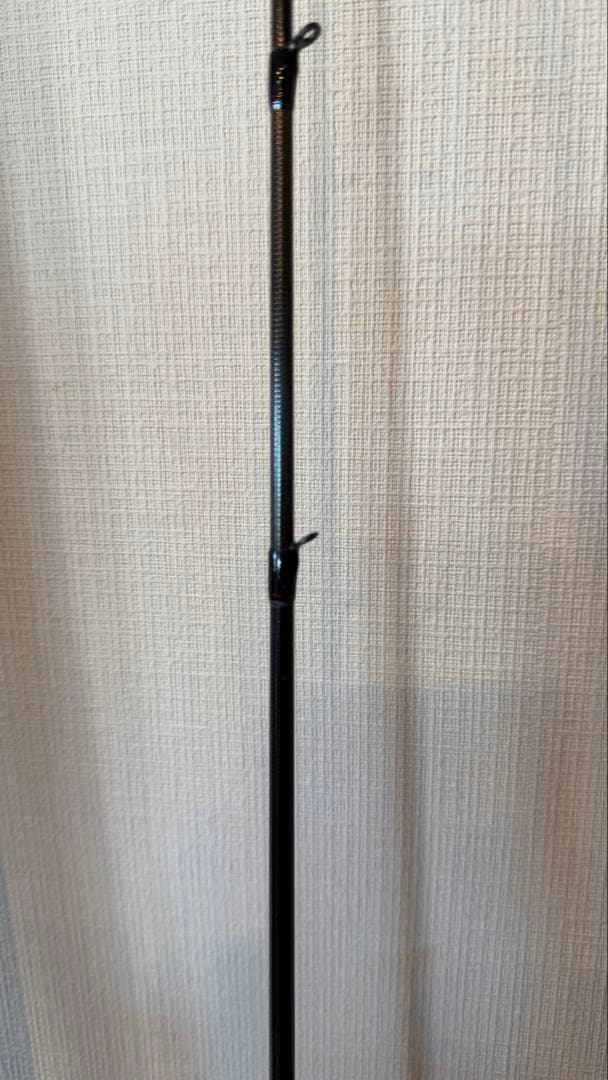 DAIWA ダイワ 極鋭カワハギ EX AGS F1