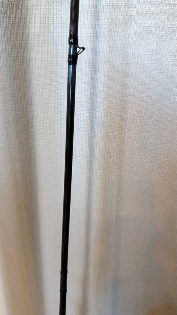 DAIWA ダイワ 極鋭カワハギ EX AGS F1