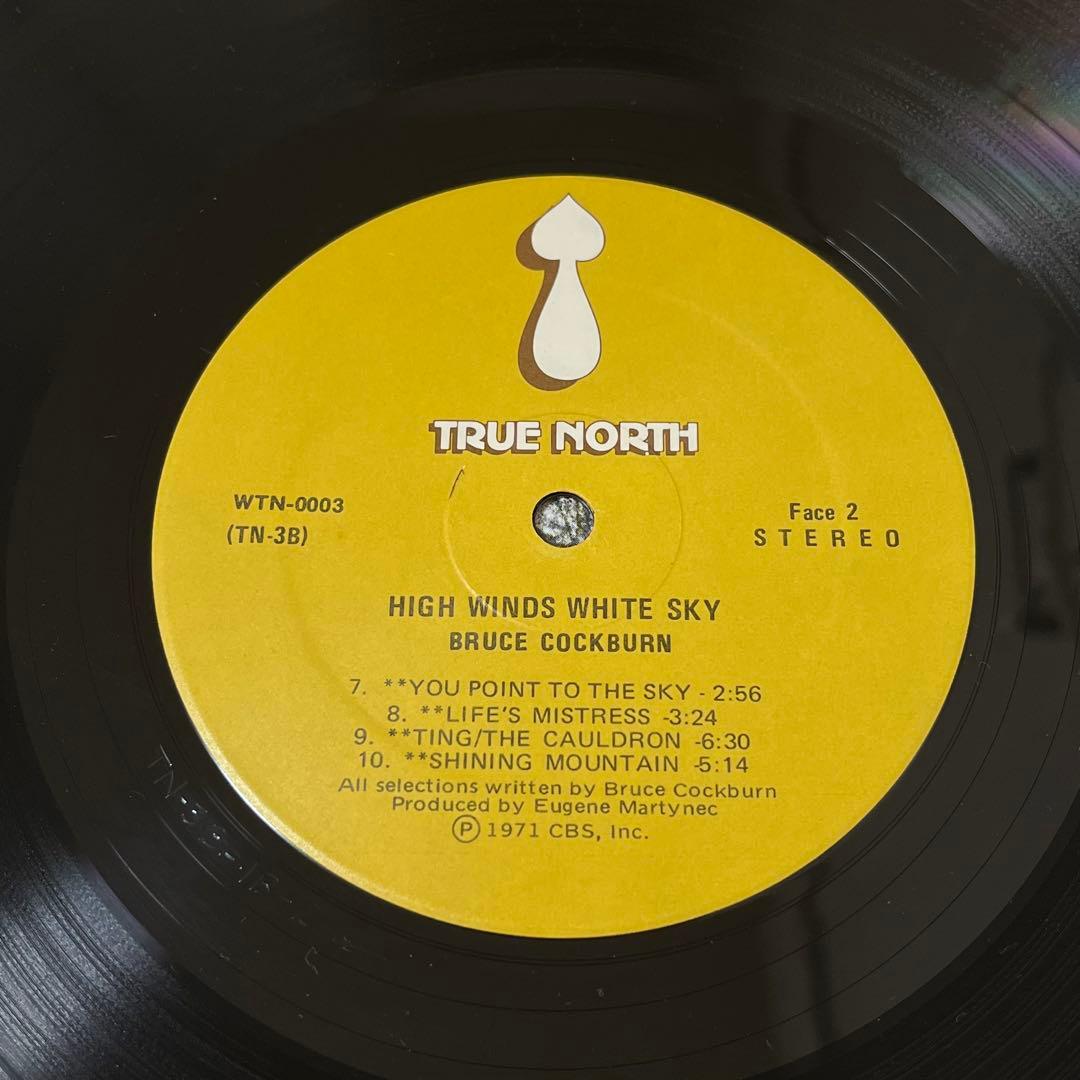 レコード SSW名盤 Bruce Cockburn フォーク レアグルーヴ LP