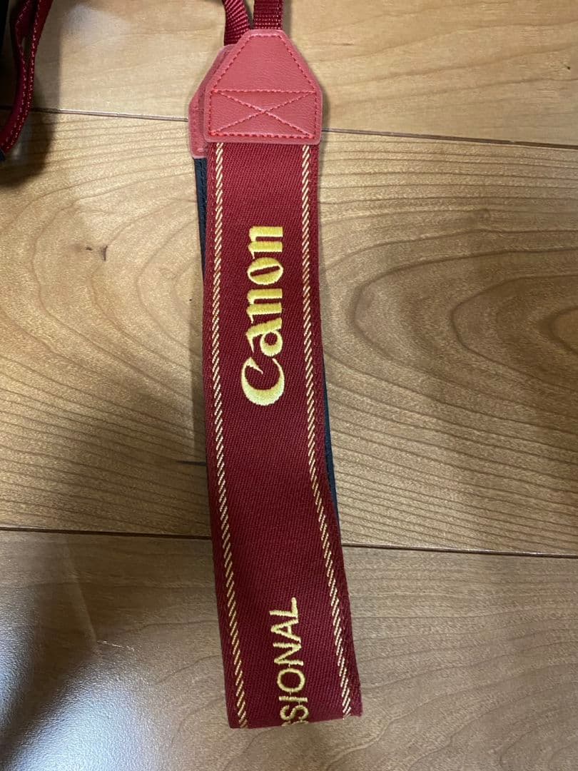 Canon EOS 6D Mark II デジタル一眼レフ