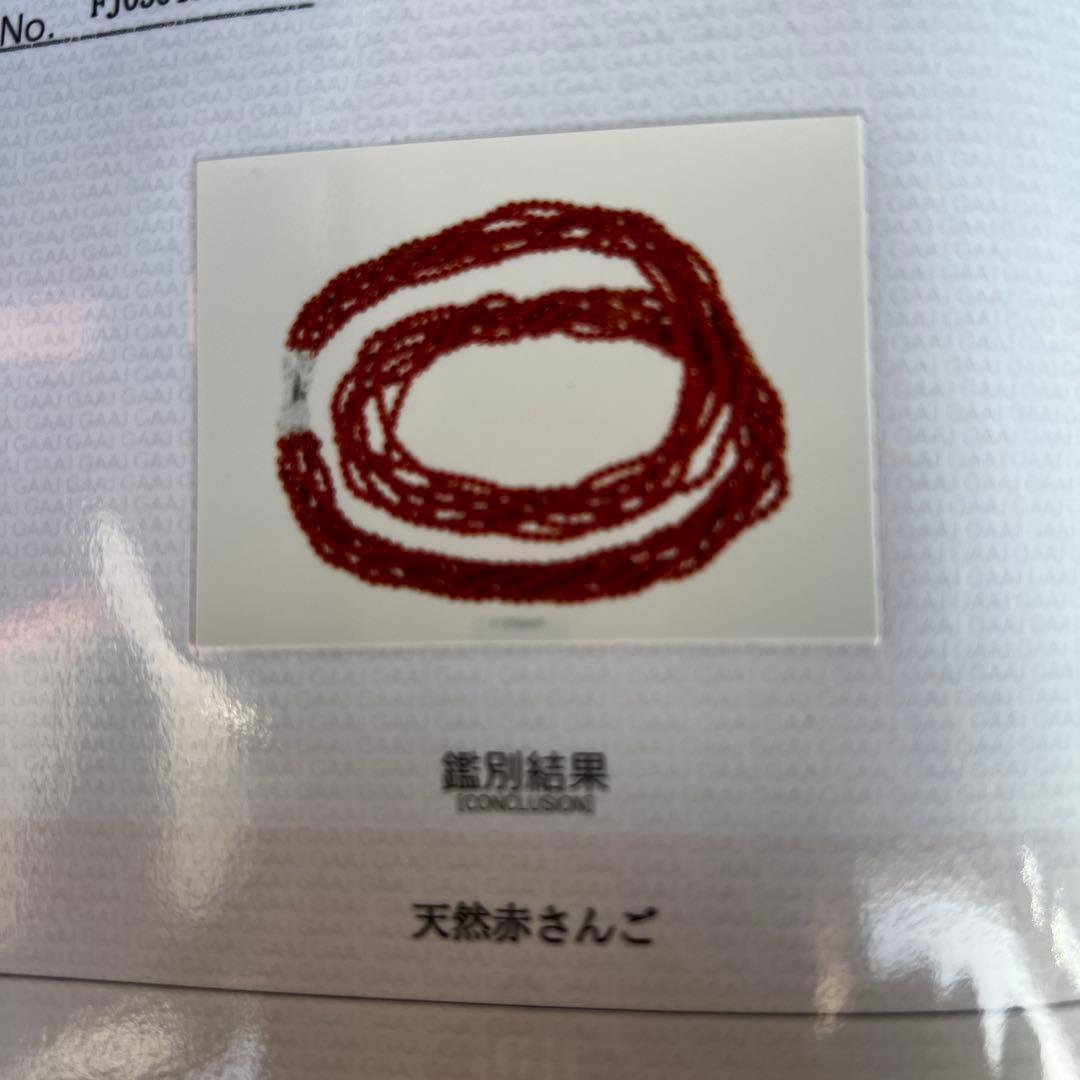 天然赤珊瑚　7連ネックレス　鑑別書付き